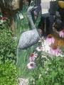 Heron
